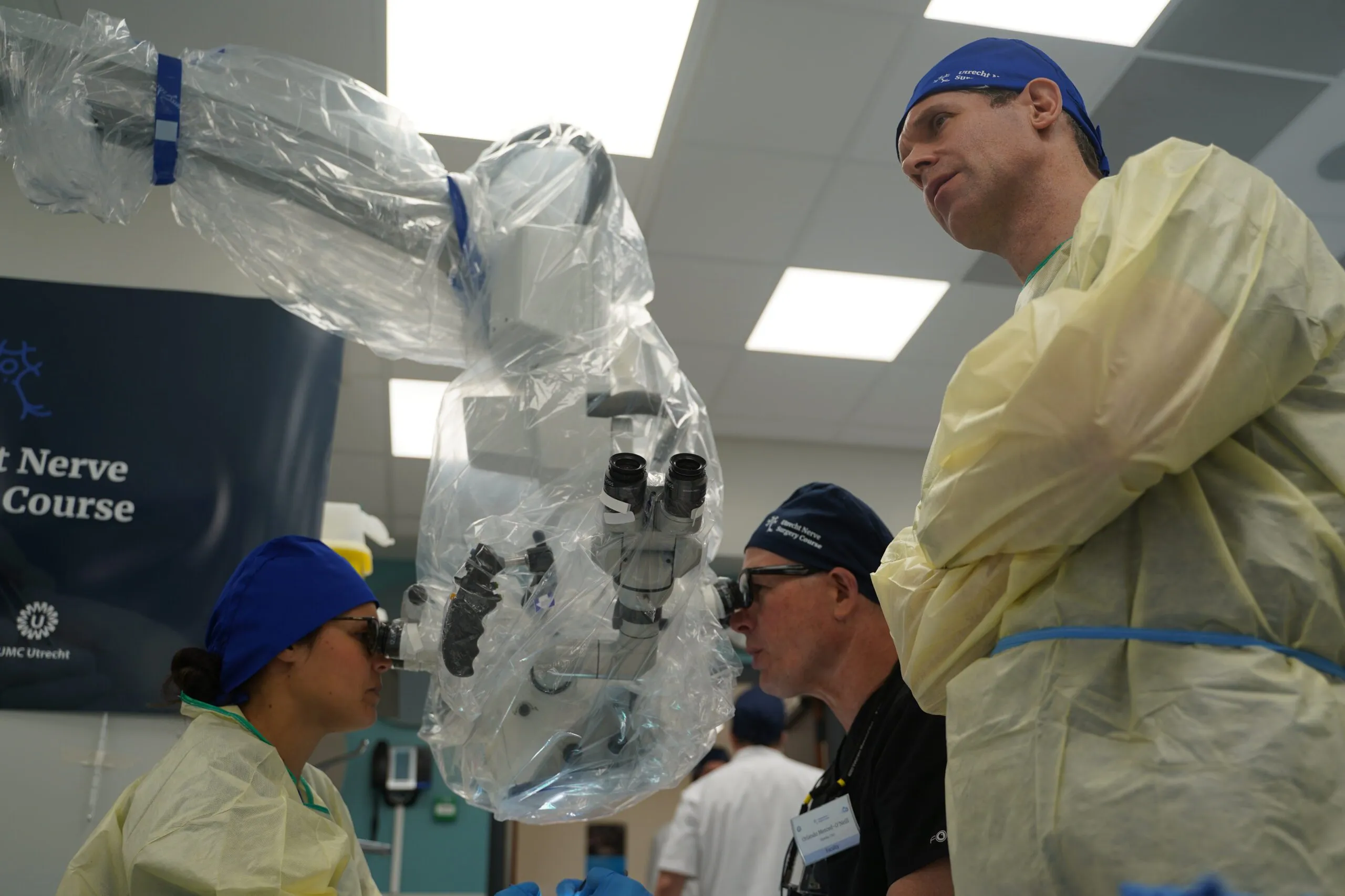 Participants and faculty during the dissection sessions